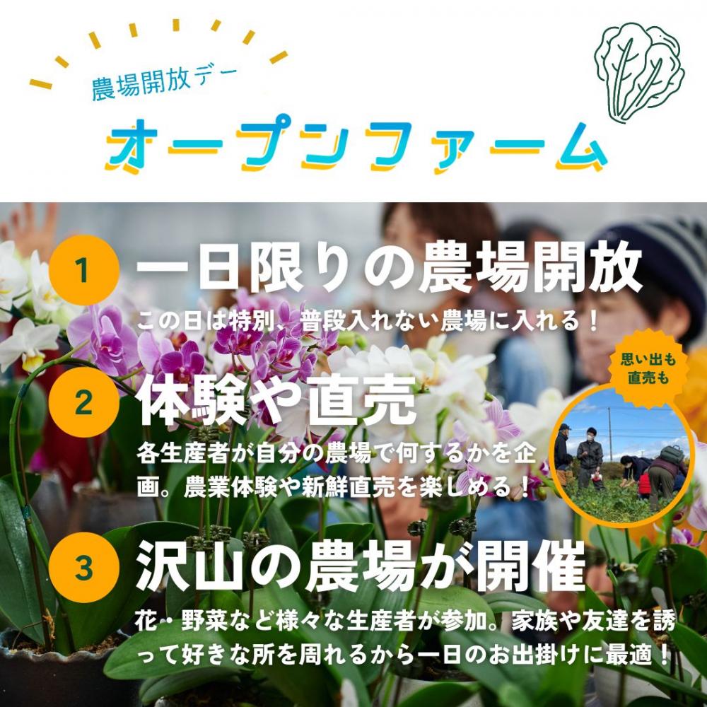 オープンファームとは？