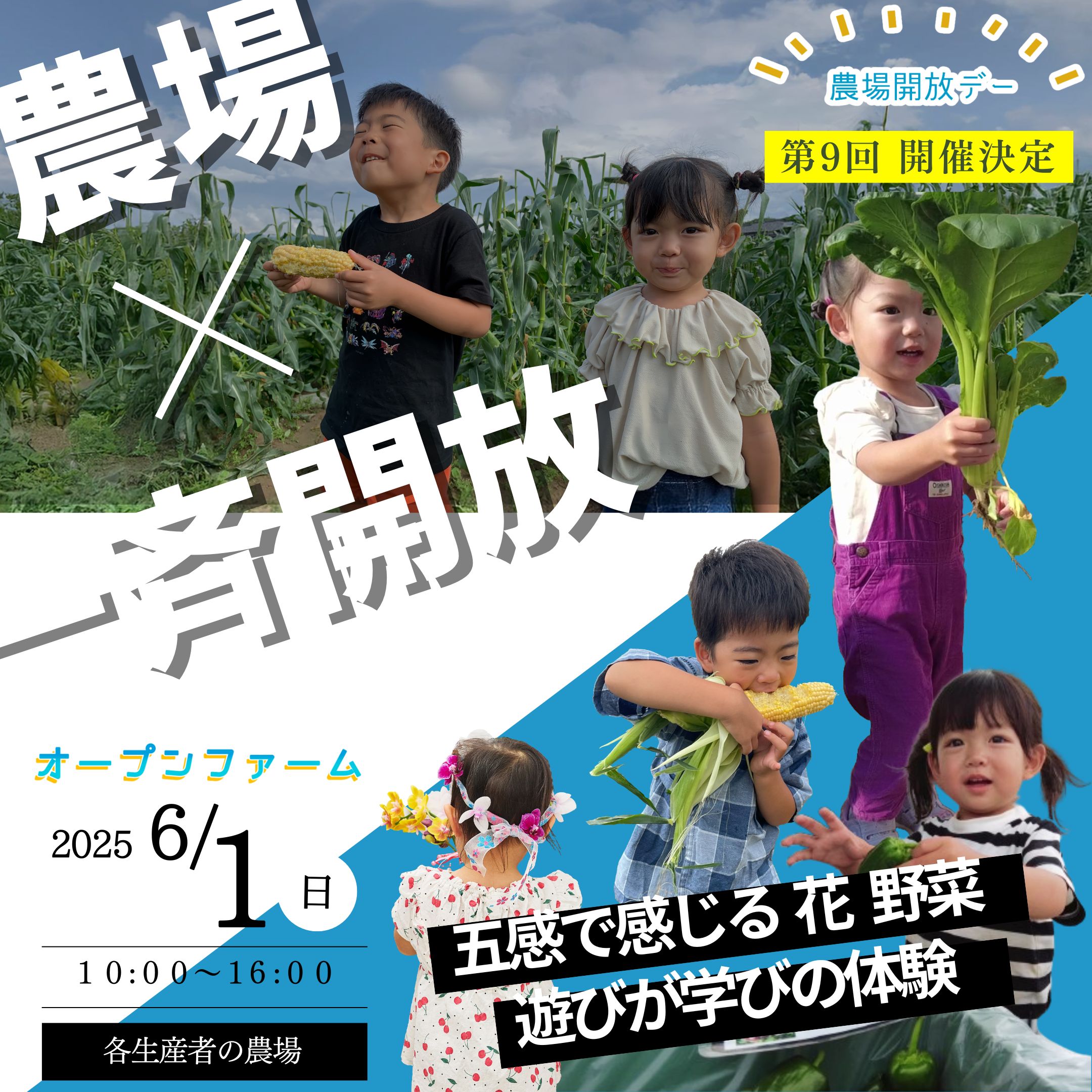 開催のご案内