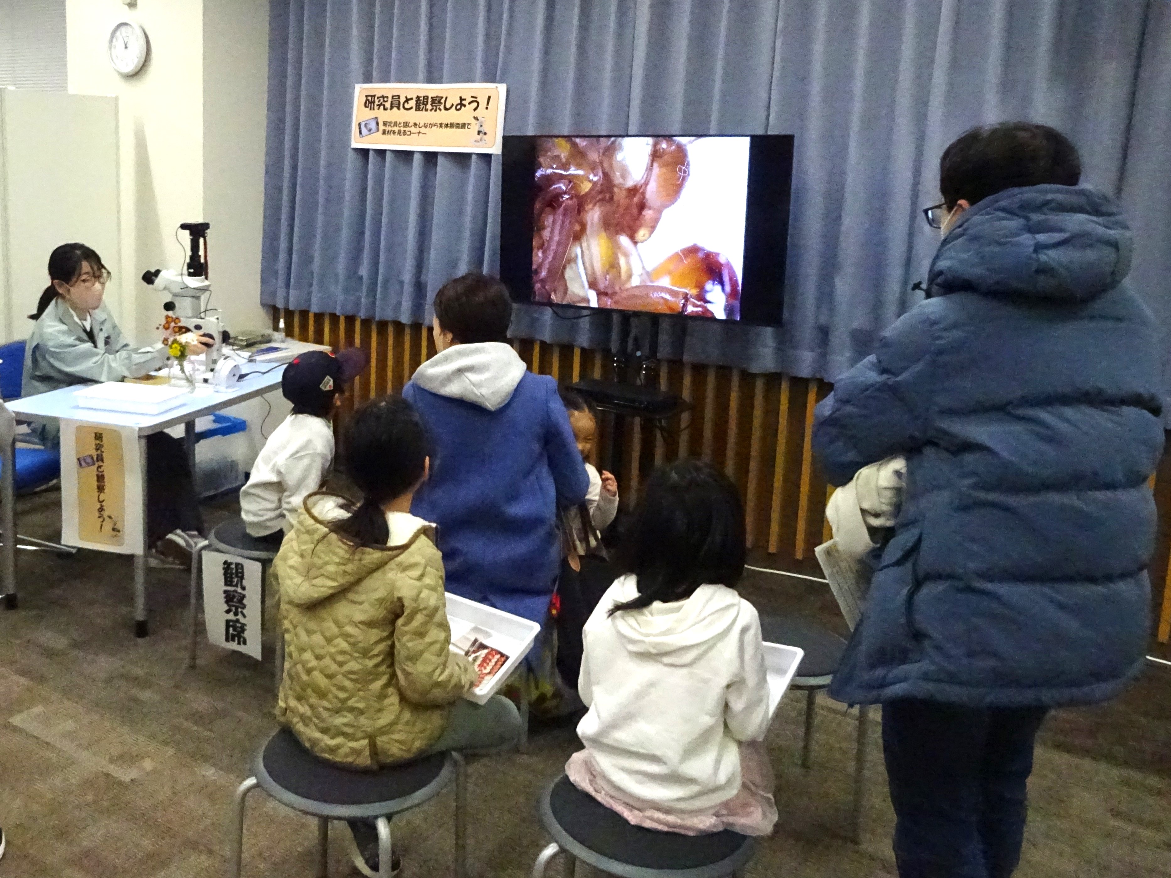 実体顕微鏡でミクロの世界を見てみよう!