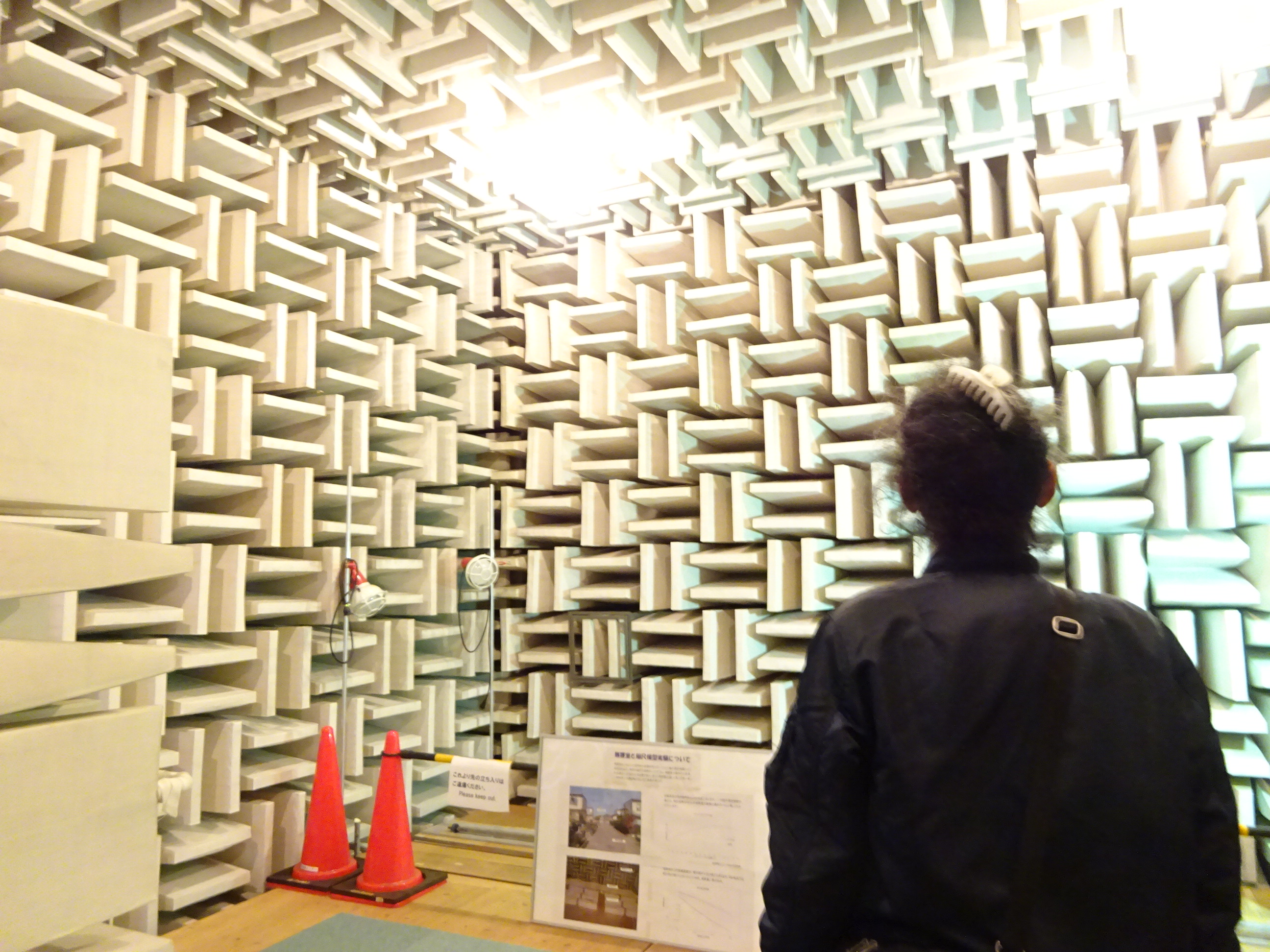 音の不思議な世界へようこそ! 音の響き方って色々ある音(ネ)!?