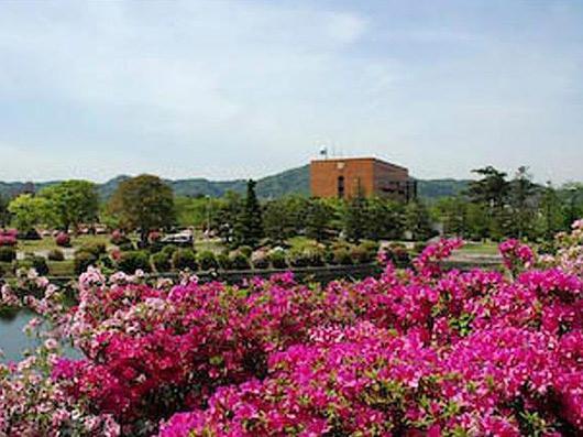 幸田中央公園