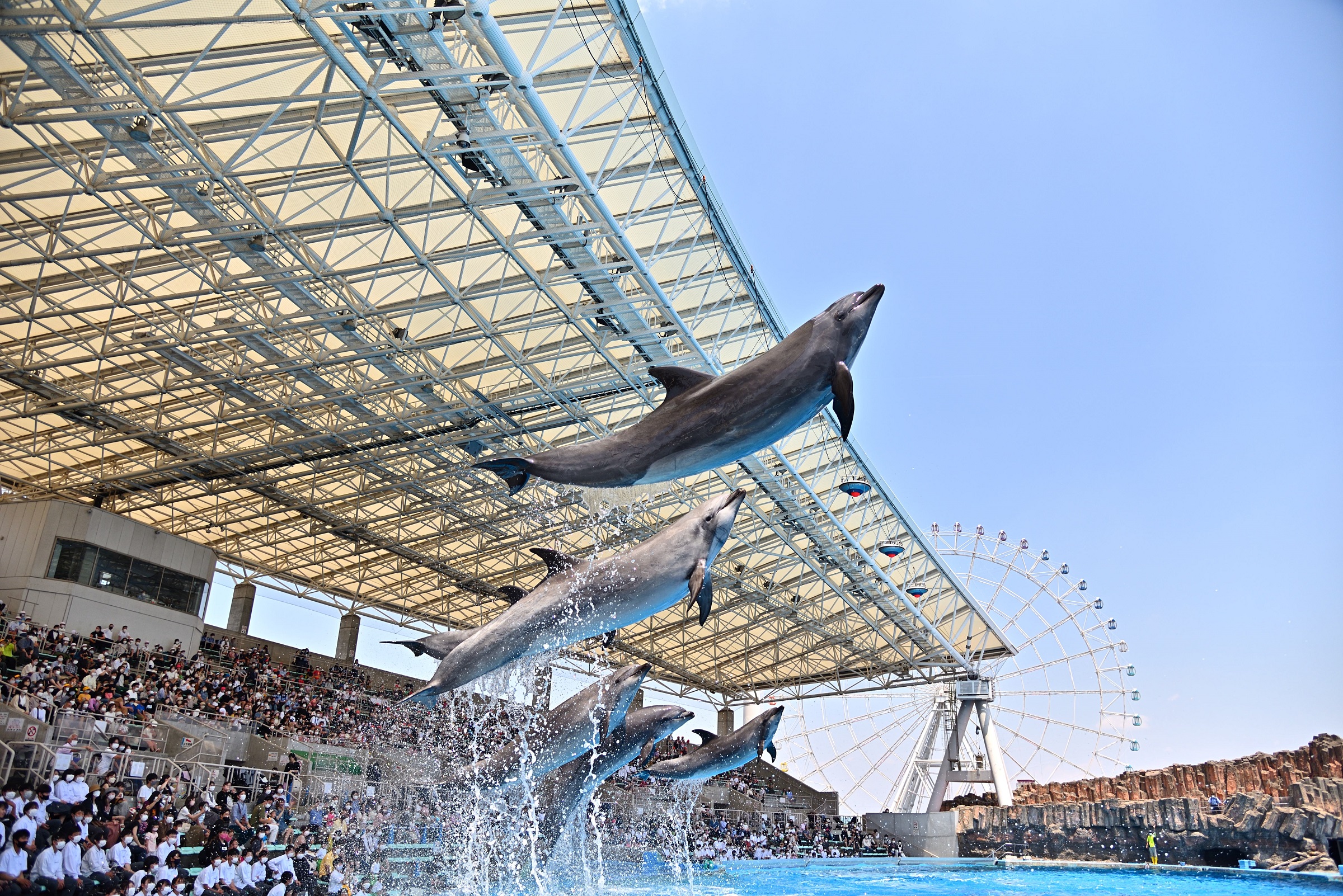 名古屋港水族館