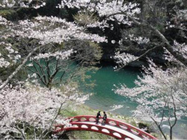 桜淵県立自然公園 (桜淵公園)