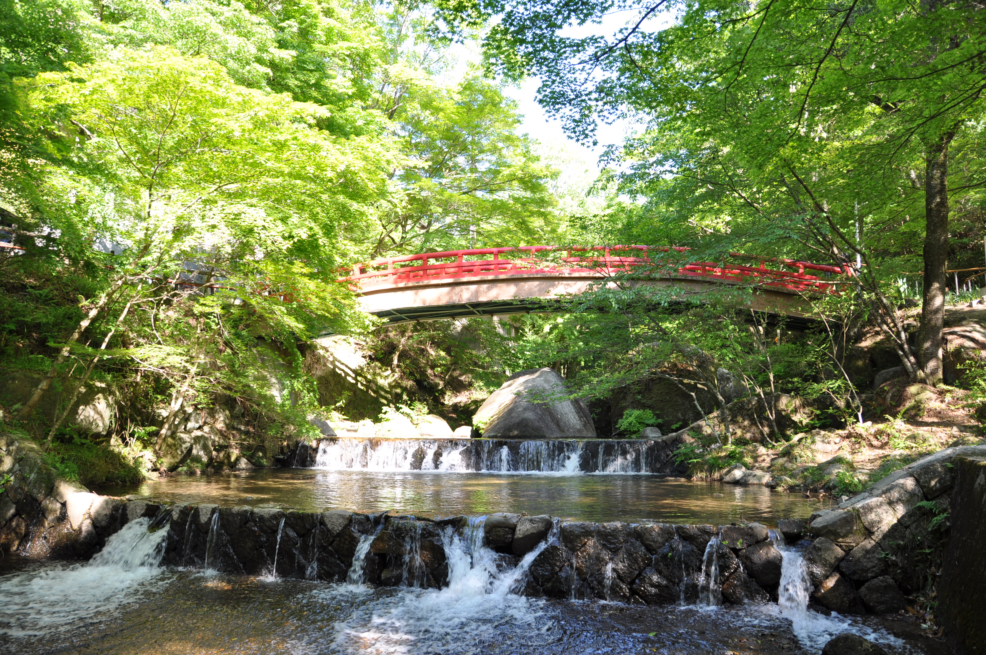 岩屋堂公園