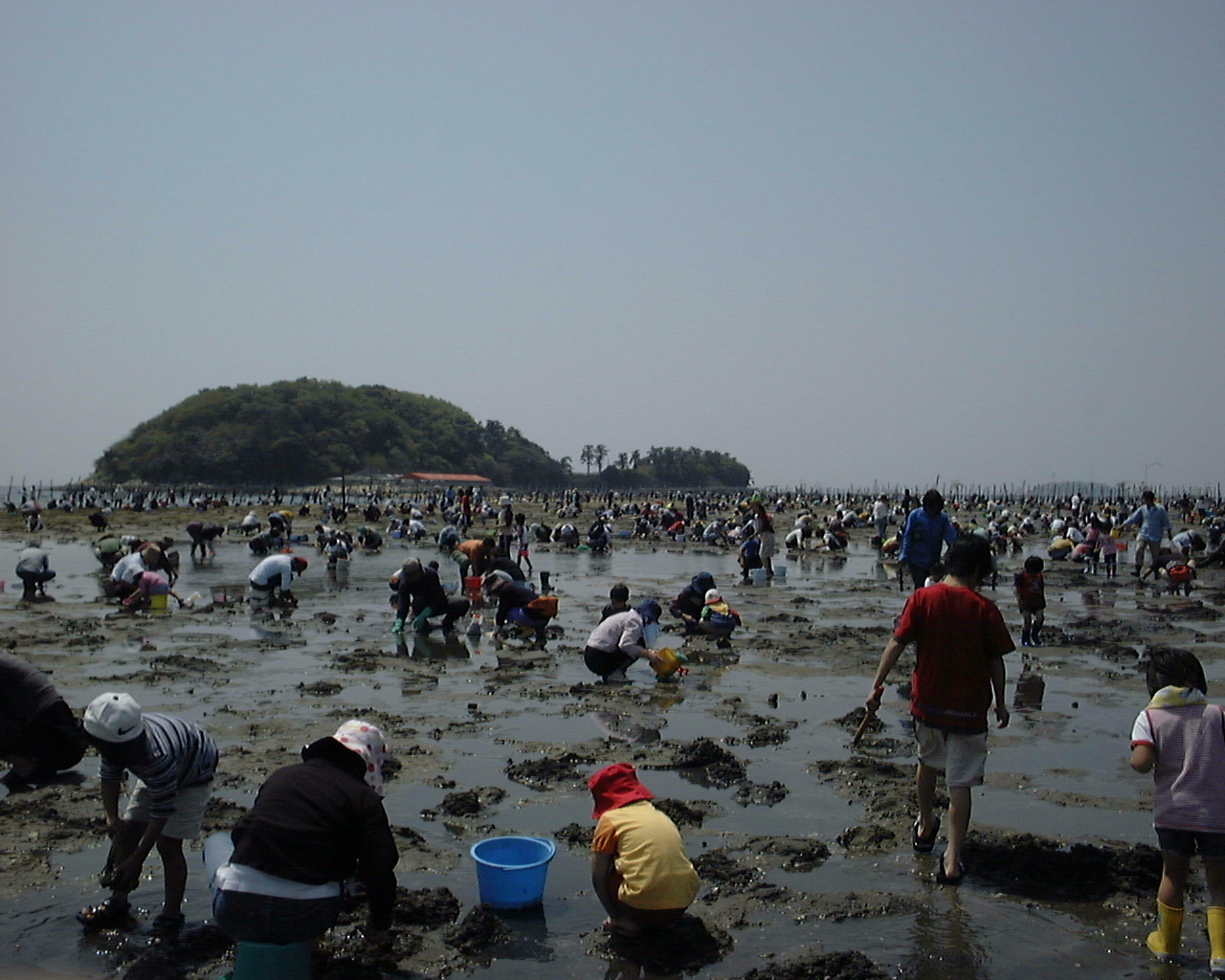 東幡豆海岸潮干狩り