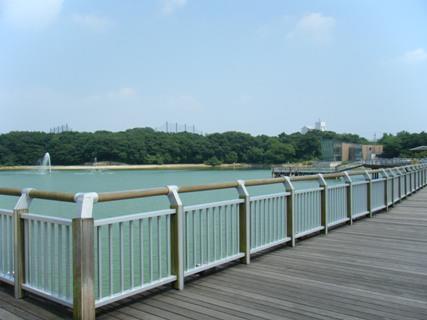 二ツ池公園　（二ツ池セレトナ）「野鳥観察施設」