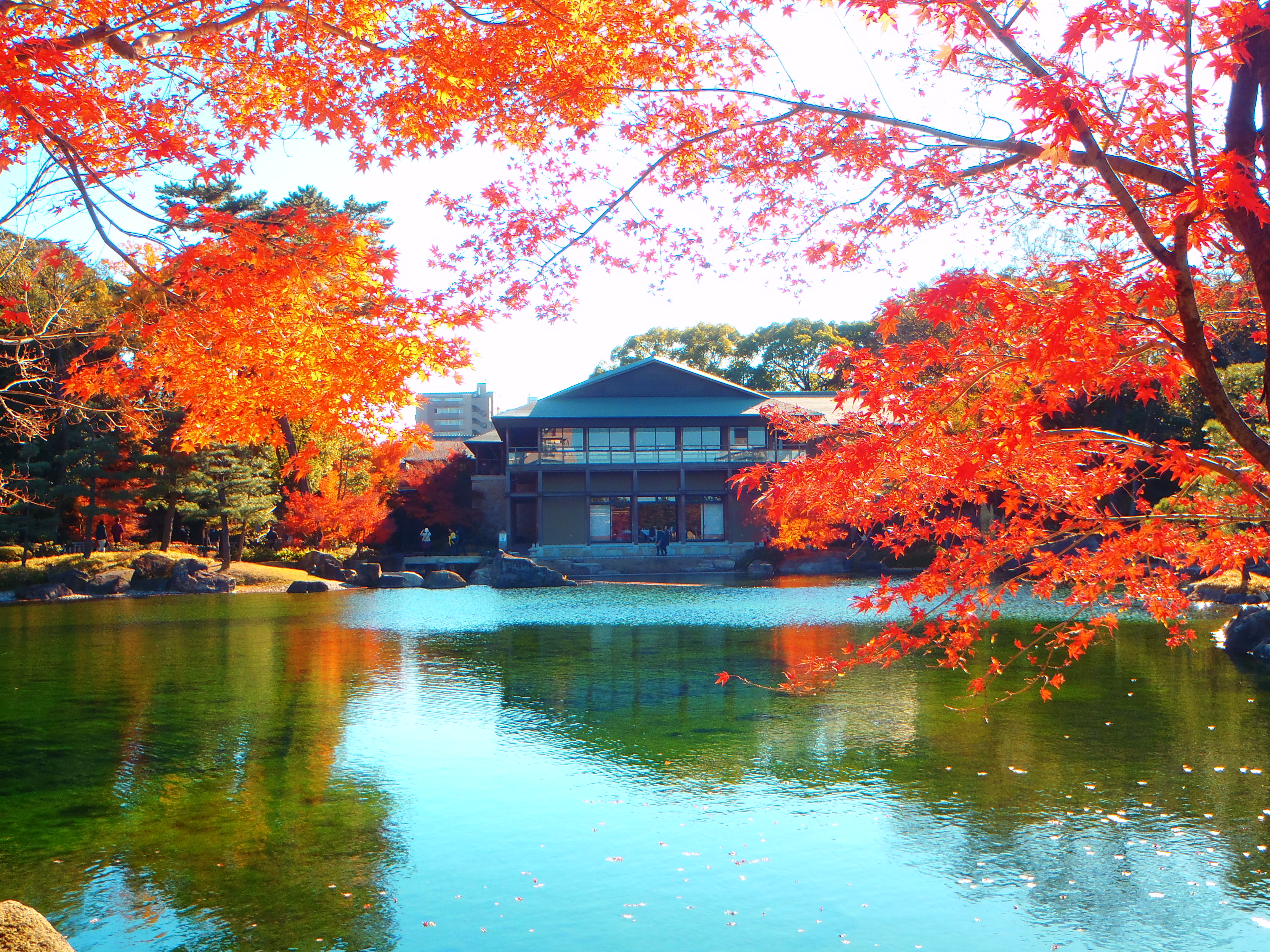 徳川園