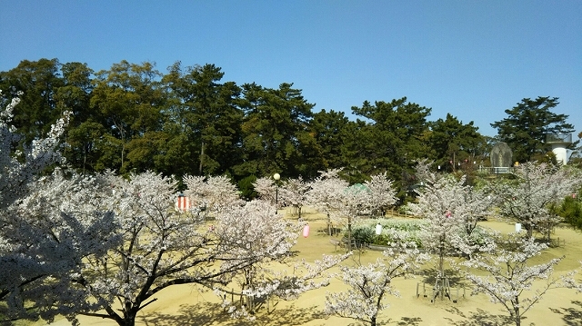 雁宿公園