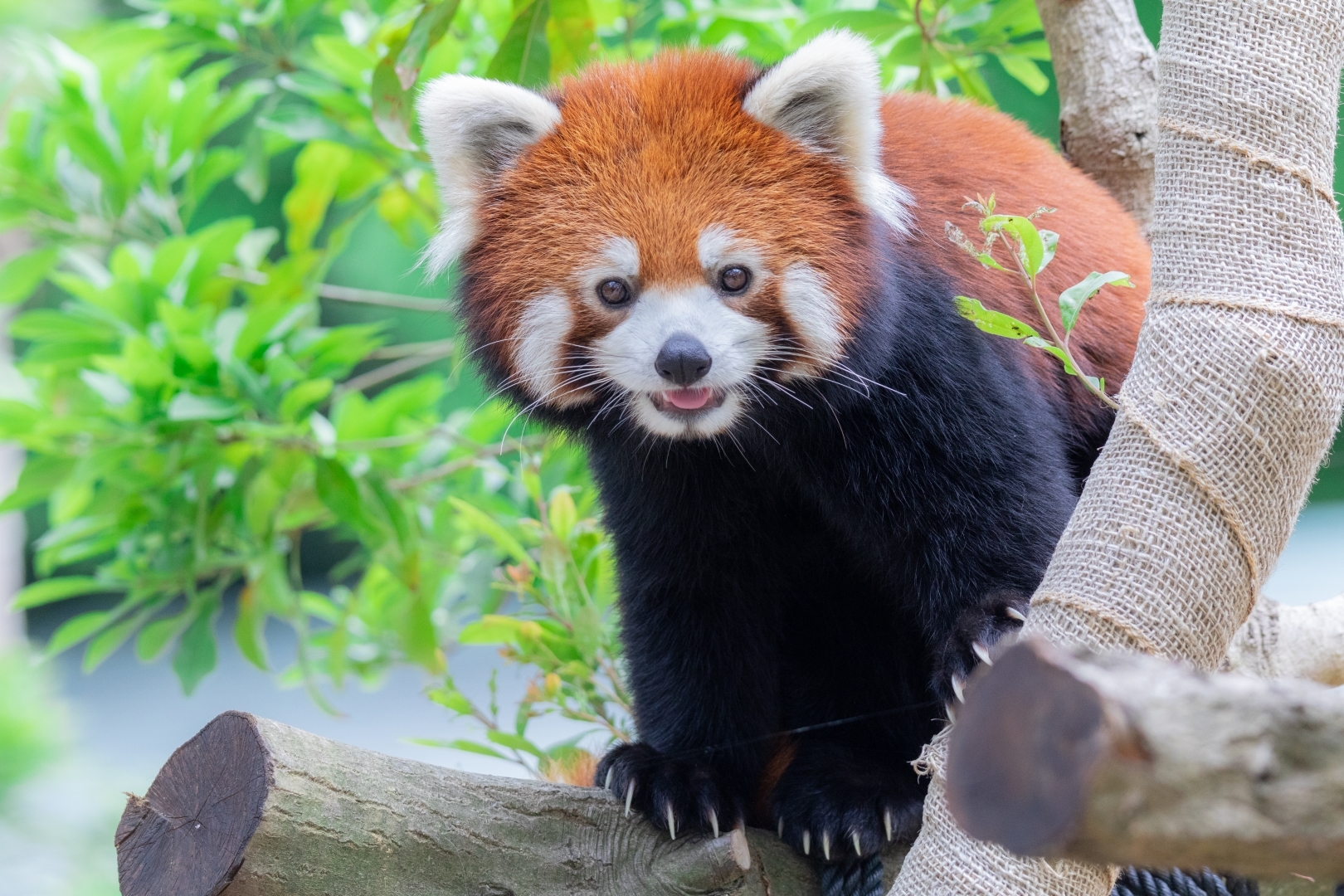 豊橋総合動植物公園のんほいパーク
