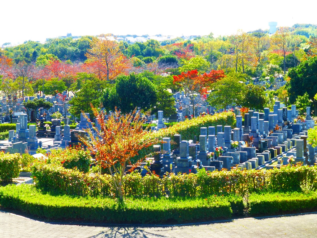 みどりが丘公園