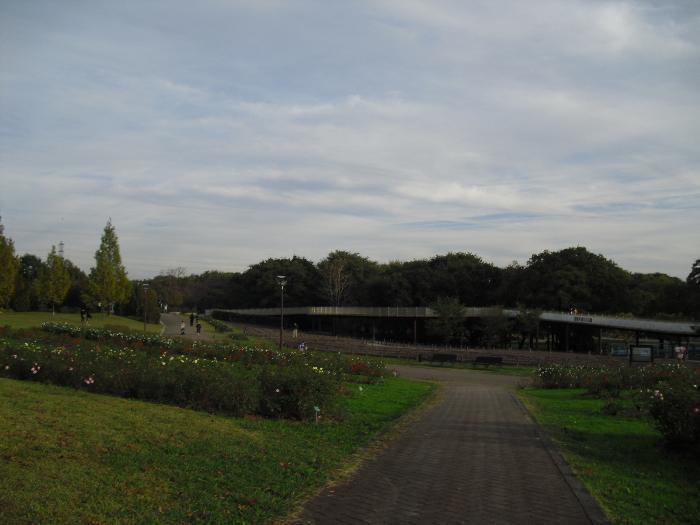 国営木曽三川公園　138タワーパーク