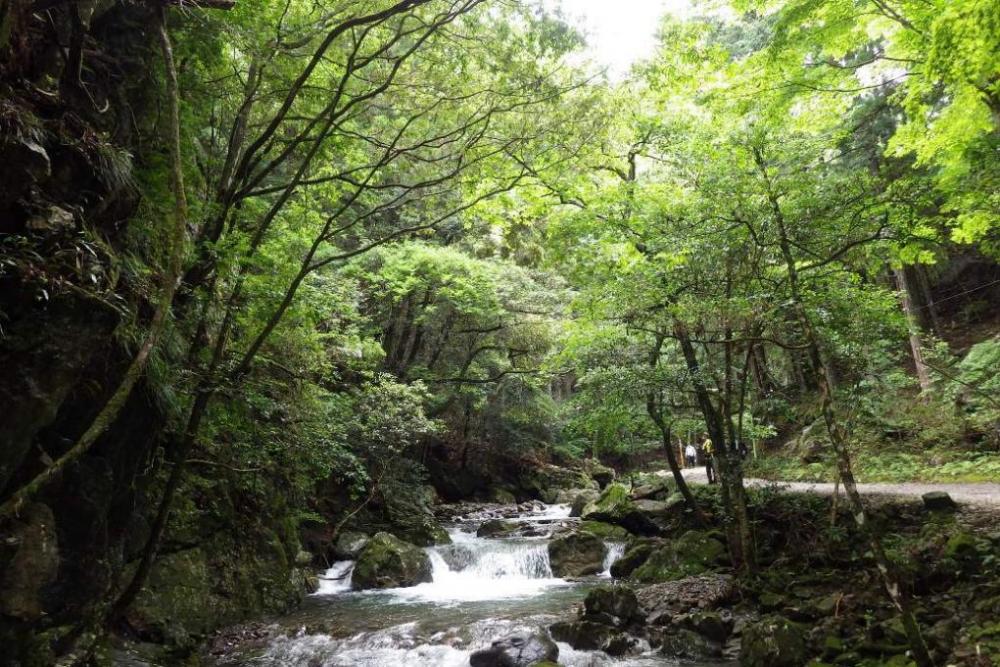くらがり渓谷キャンプ場