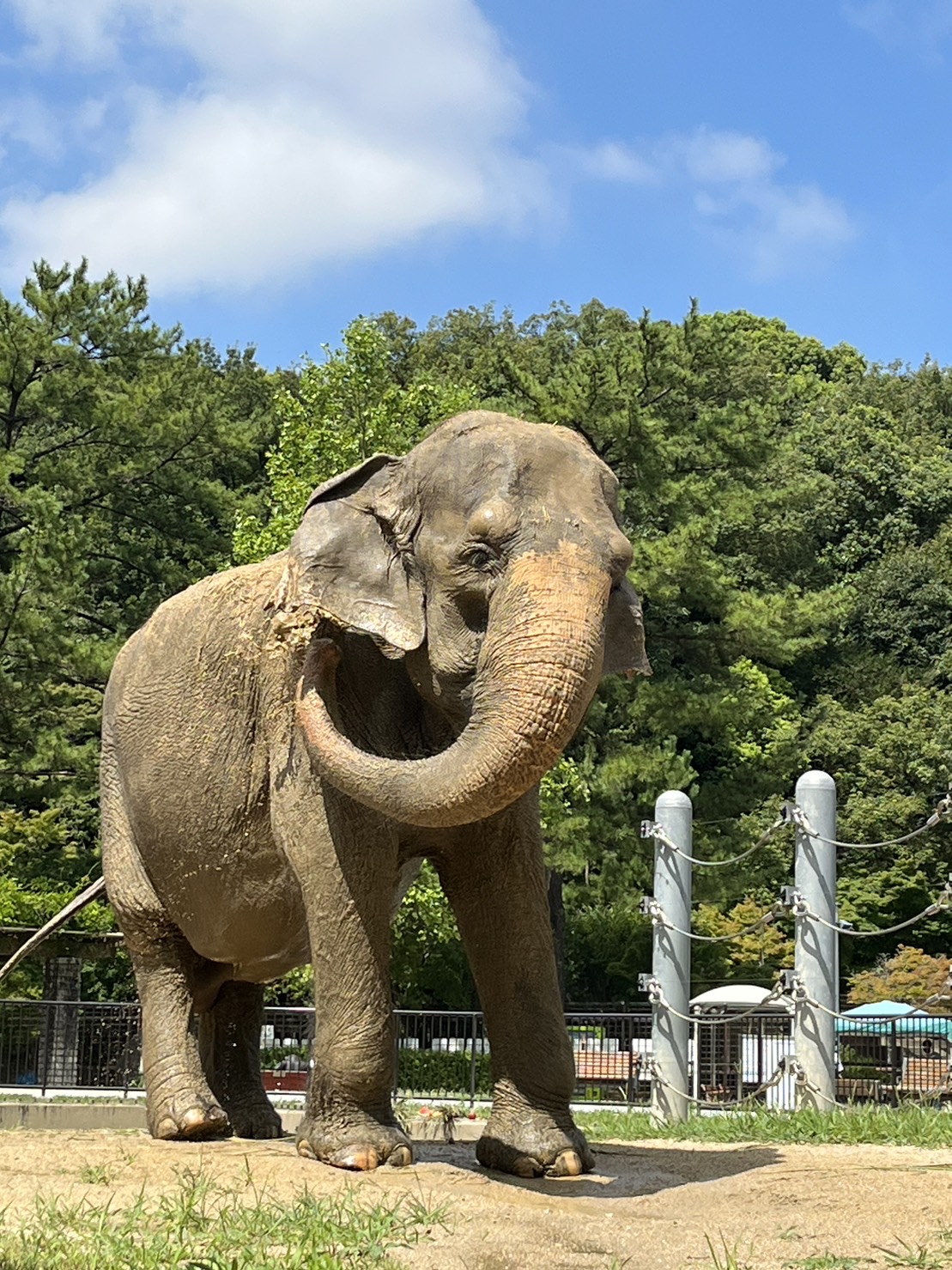 岡崎市東公園動物園