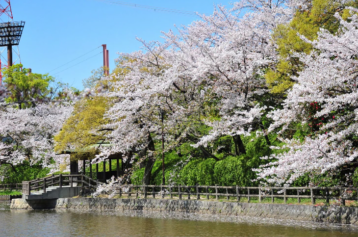 亀城公園