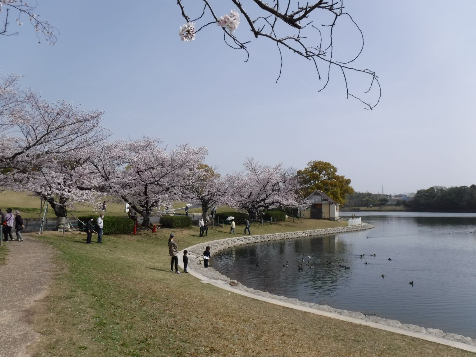 洲原公園